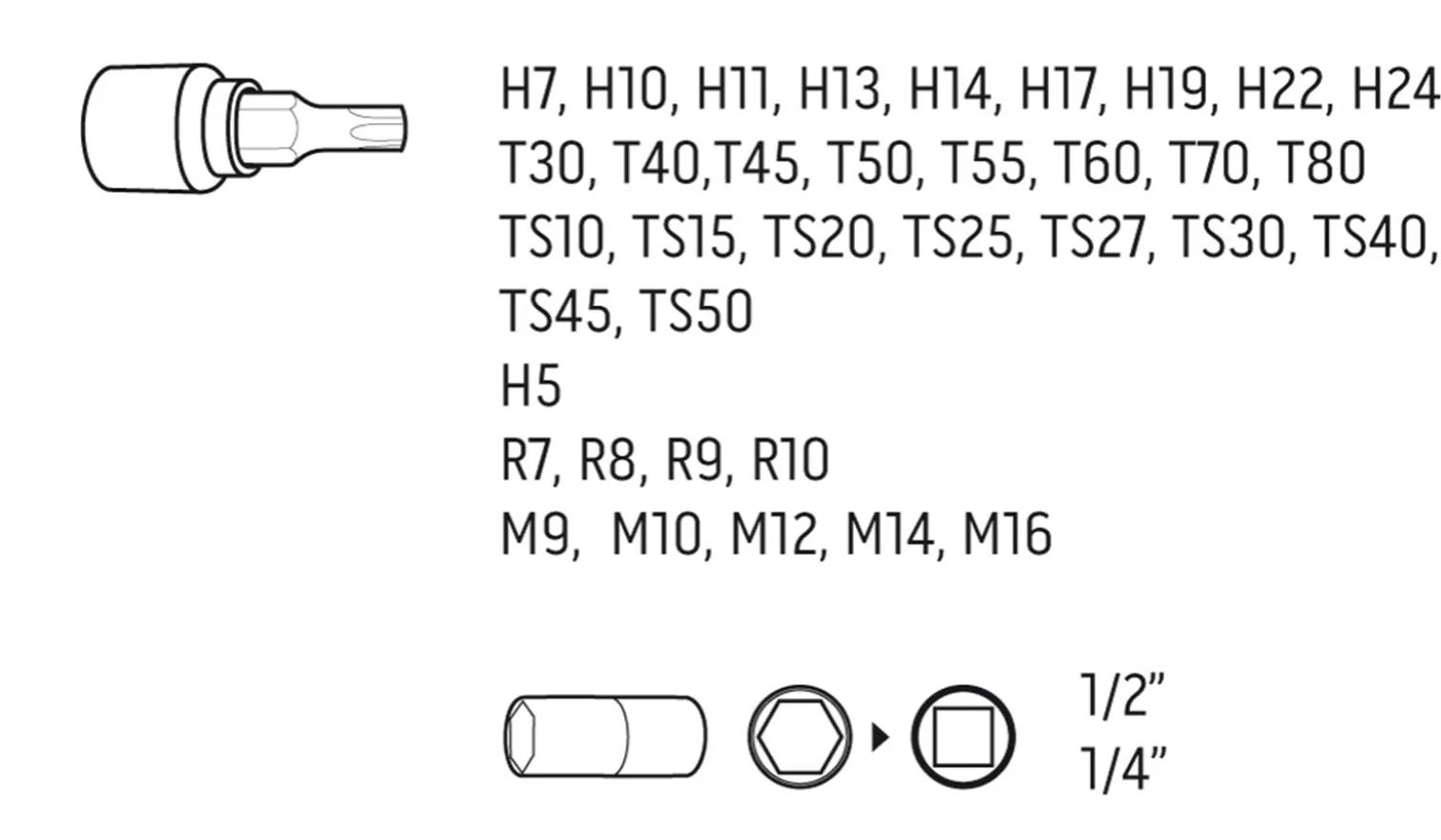 Bity Torx 1/2