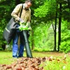 Odkurzacz do liści Greenworks GD40BVIIK2X