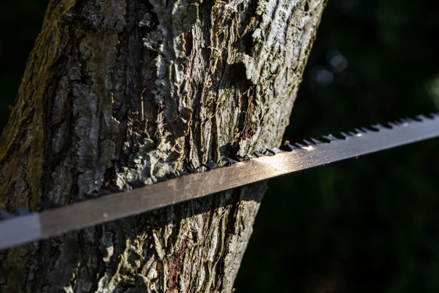 Piła kabłąkowa 760mm Verto 15G155