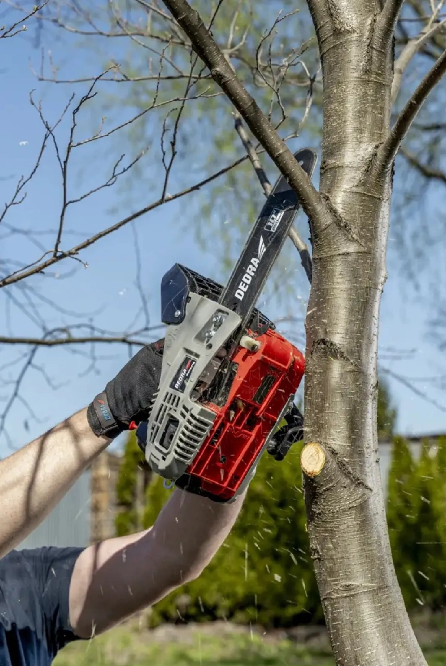 Pilarka łańcuchowa Dedra DED8719