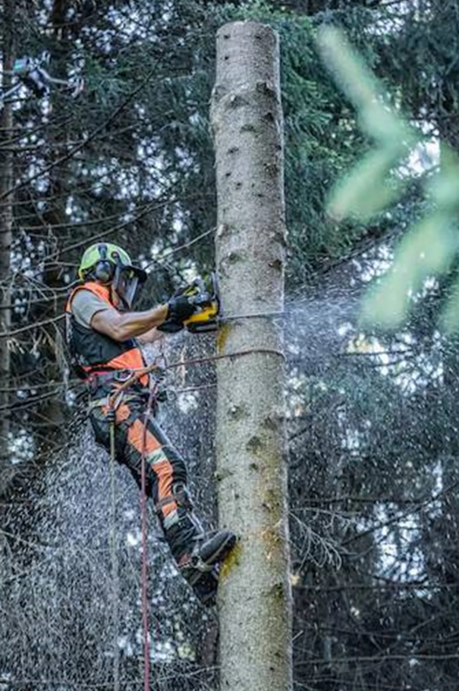 Pilarka łańcuchowa DeWalt FLEXVOLT DCMCST635X1 1x9,0Ah