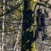 Pilarka łańcuchowa Greenworks GD40TCS