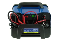 Prostownik 12/24V 25-180Ah Dedra DEP021