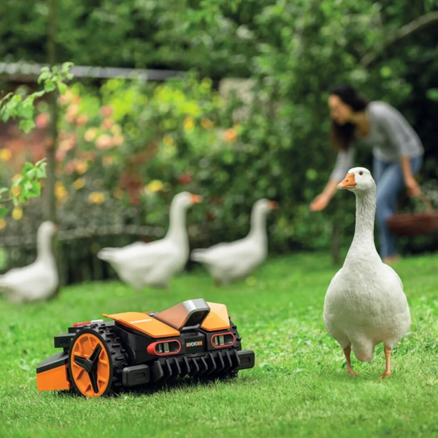 Robot koszący Worx Landroid Vision