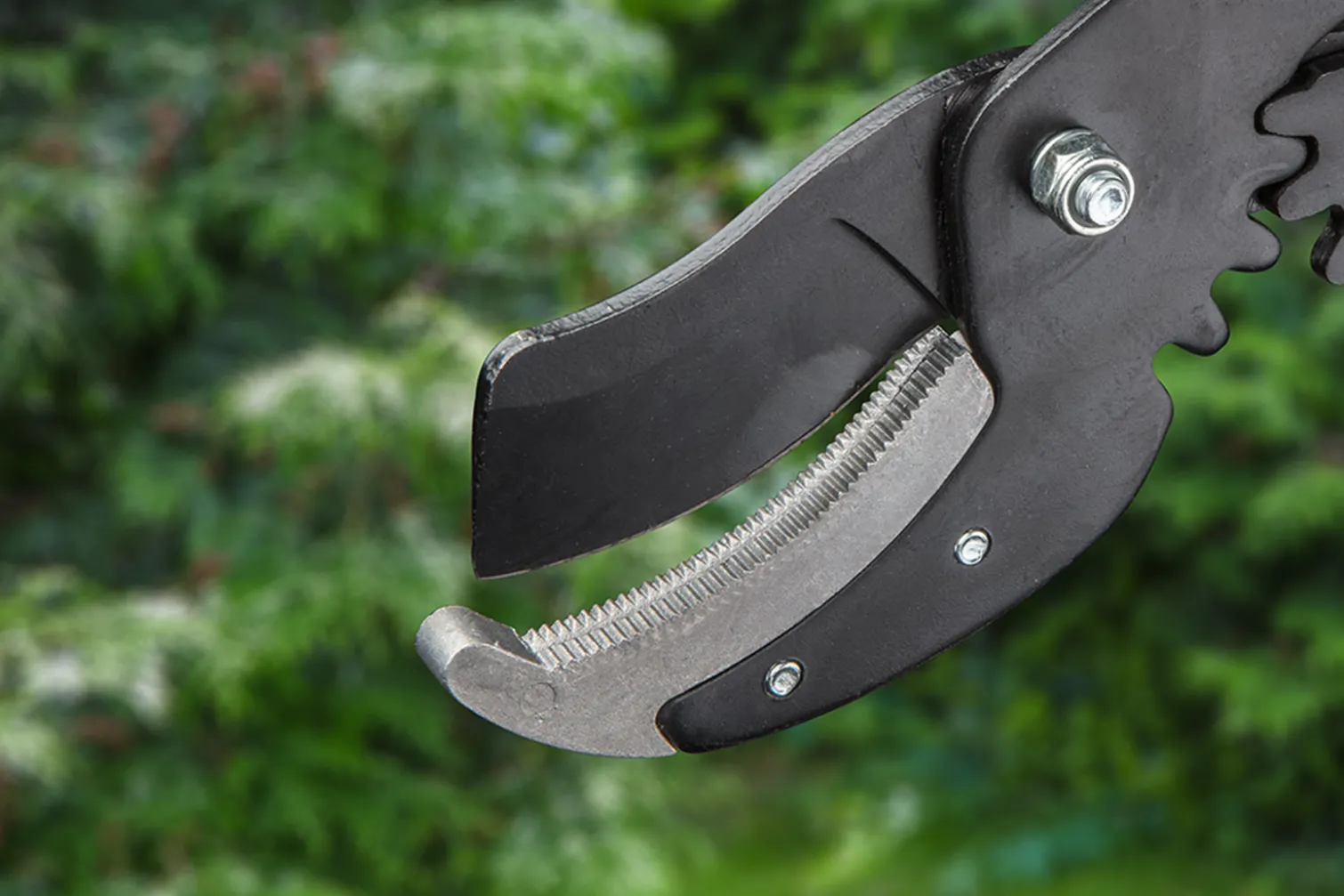 Sekator do gałęzi kowadełkowy, uchwyty aluminiowe Verto 15G257