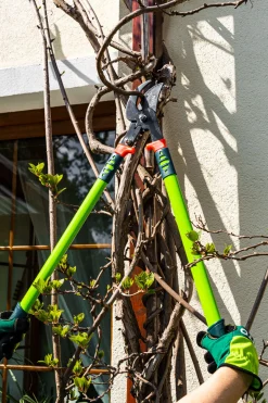 Sekator do gałęzi Verto 15G254