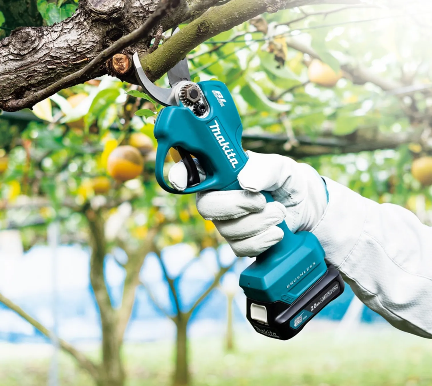 Sekator ogrodniczy CXT 12Vmax Makita UP100DZ